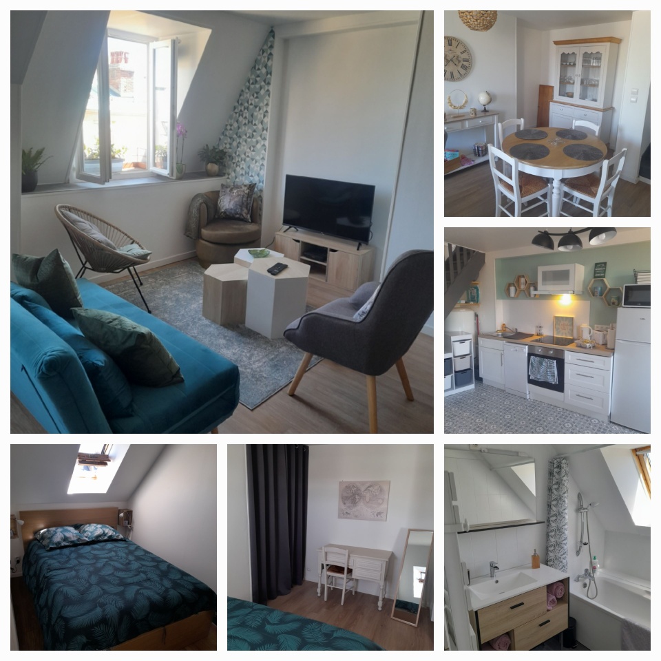 Appartement le Diepplex de Sébelle 1 chambre Dieppe : 1