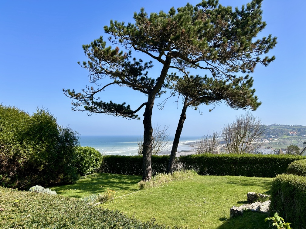 Appartement Nid des Falaises 1 chambre Varengeville sur Mer : 5