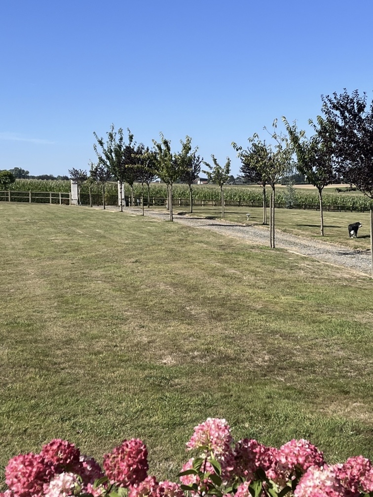 Aire de camping cars Domaine de Vassonville  : 1