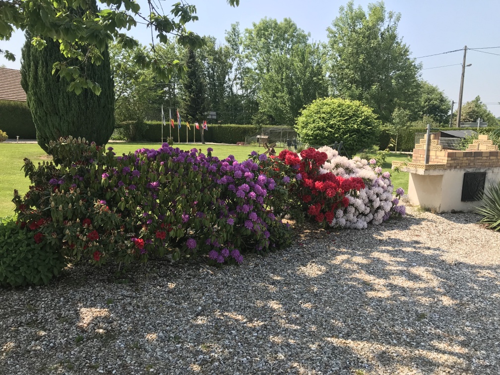Gîte 5 chambres Criquetot sur Longueville : 2
