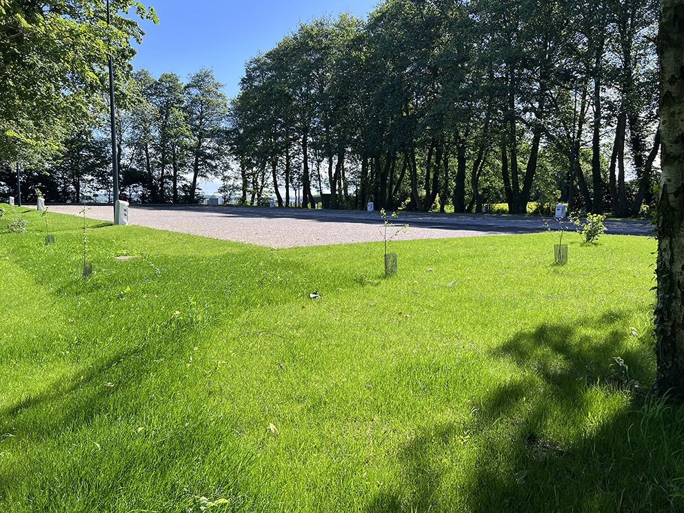 Aire de camping-cars Domaine Crèvecoeur Le Tréport : 3