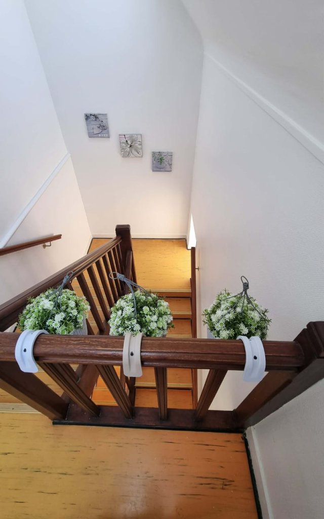 Appartement La perle rare 3 chambres Le Tréport : 1