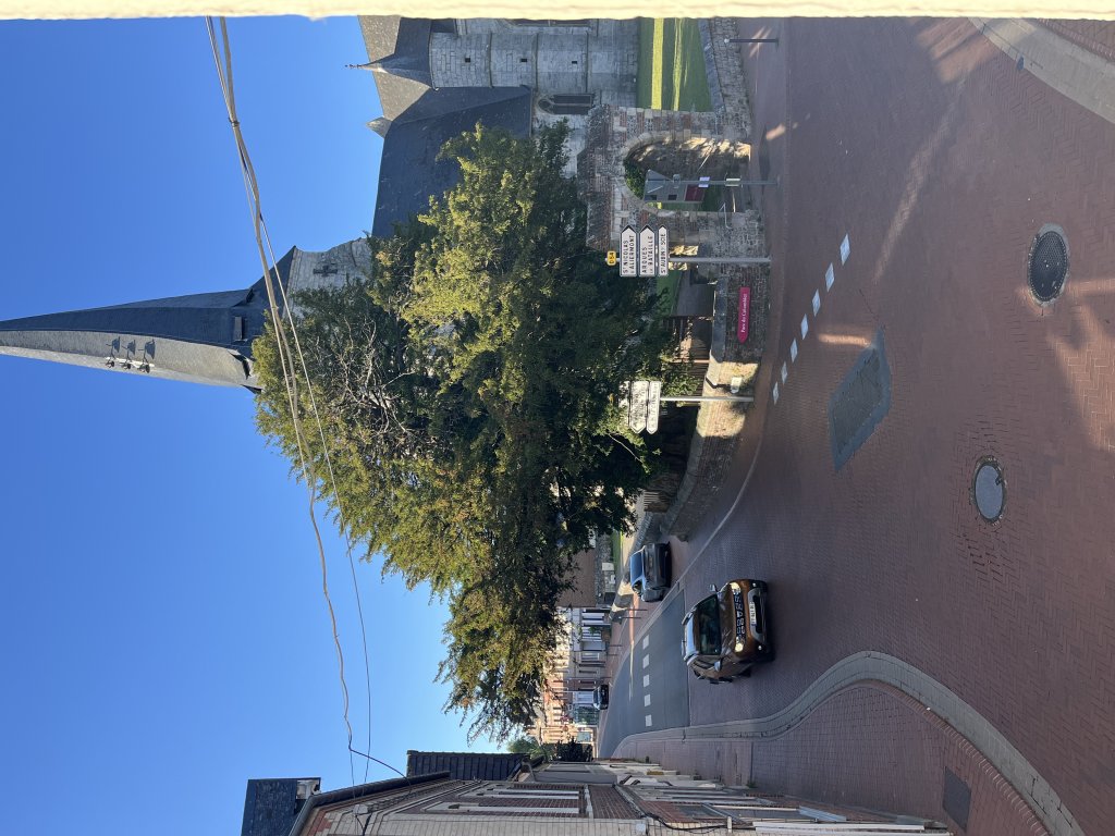 Appartement vide 3 chambres Offranville : 1