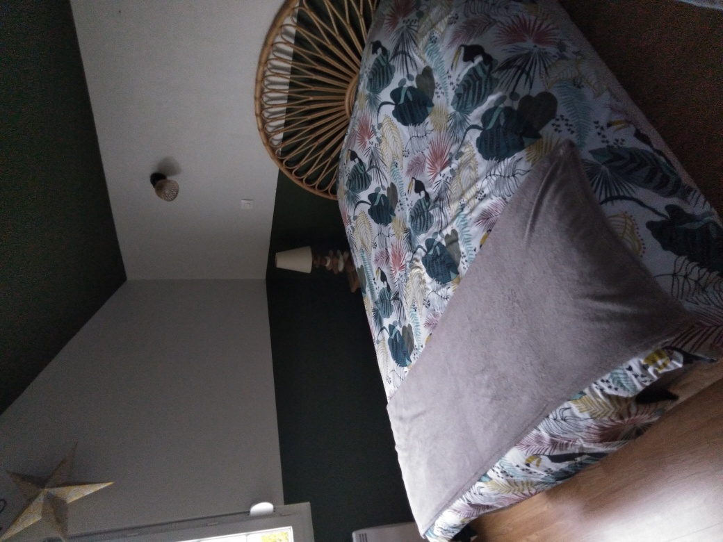 Maison en colocation 2 chambres Arques-la-Bataille : 2