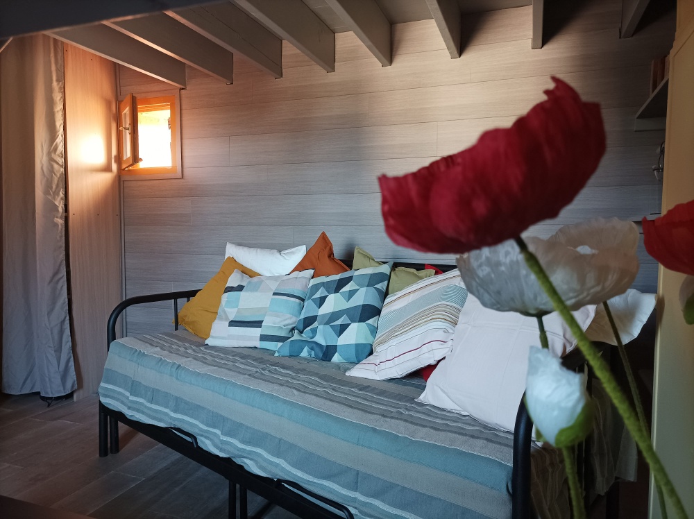 Appartement Côte & Mer 1 chambre Criel sur Mer : 1